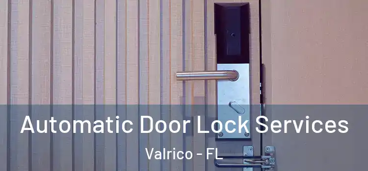 Automatic Door Lock Services Valrico - FL