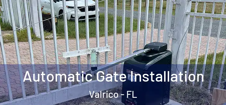 Automatic Gate Installation Valrico - FL