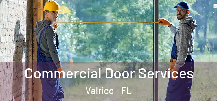 Commercial Door Services Valrico - FL