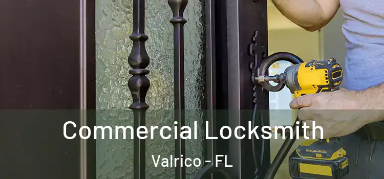 Commercial Locksmith Valrico - FL