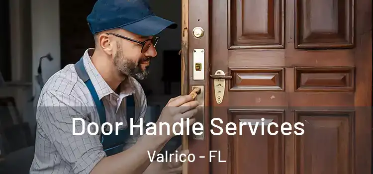 Door Handle Services Valrico - FL