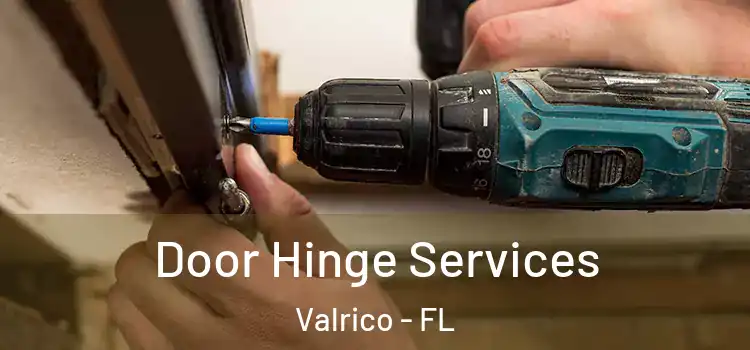 Door Hinge Services Valrico - FL