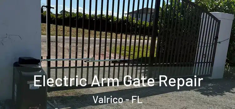 Electric Arm Gate Repair Valrico - FL