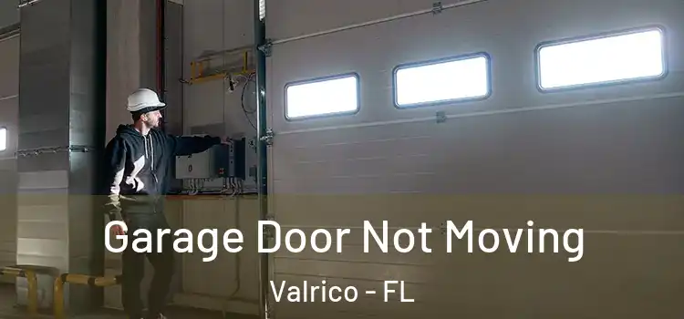  Garage Door Not Moving Valrico - FL