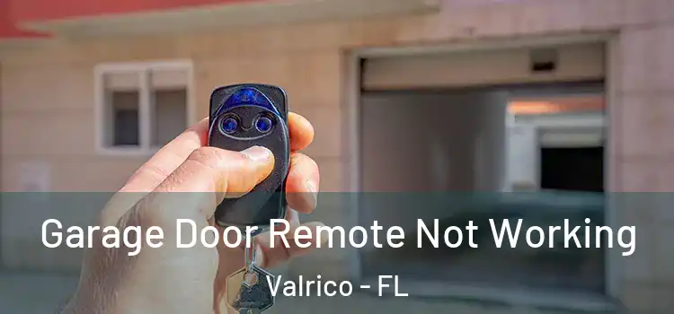  Garage Door Remote Not Working Valrico - FL