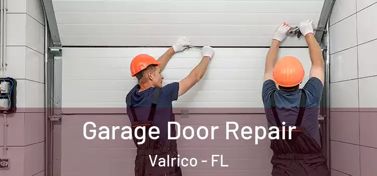  Garage Door Repair Valrico - FL