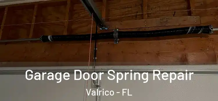  Garage Door Spring Repair Valrico - FL