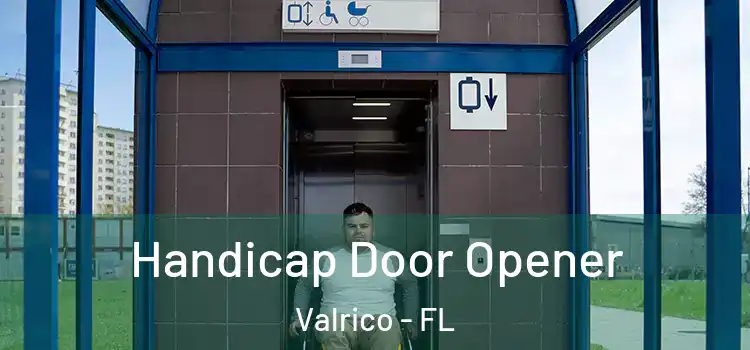 Handicap Door Opener Valrico - FL
