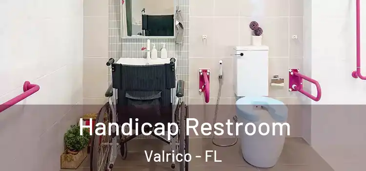 Handicap Restroom Valrico - FL