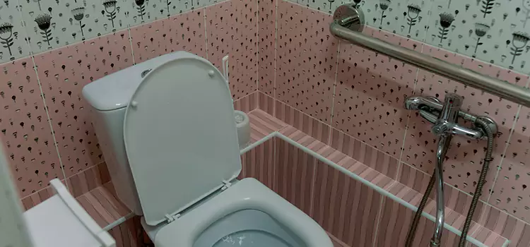 Meeting Diverse Needs With Accessible Restroom Solutions in Valrico, FL