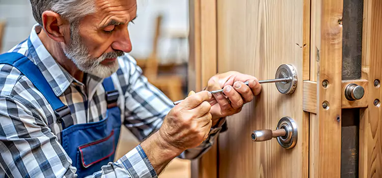 Mortise Replacement Lock Valrico