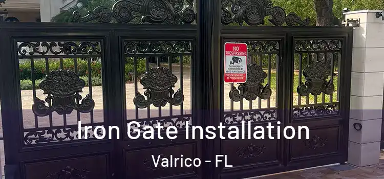 Iron Gate Installation Valrico - FL