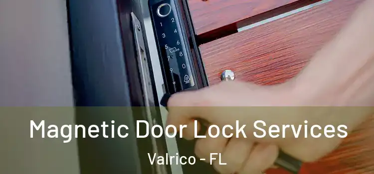 Magnetic Door Lock Services Valrico - FL