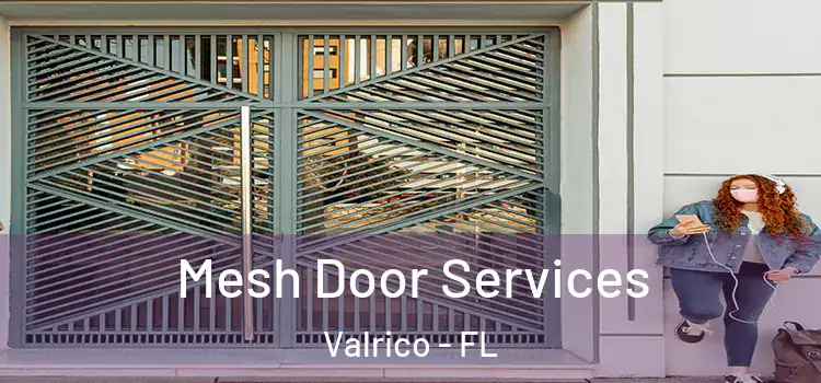 Mesh Door Services Valrico - FL