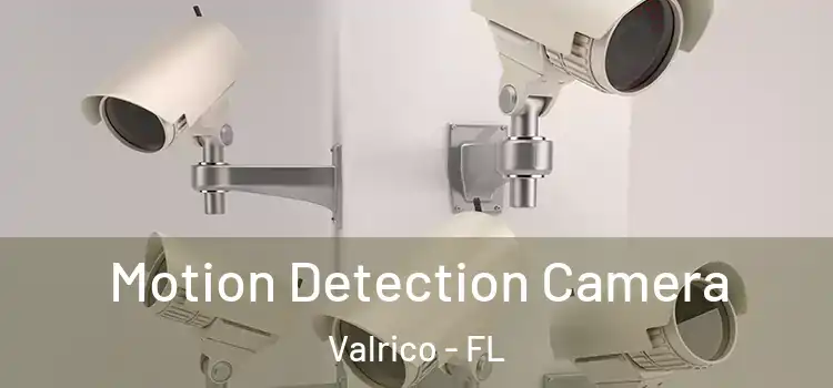  Motion Detection Camera Valrico - FL
