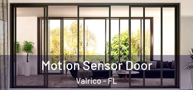 Motion Sensor Door Valrico - FL