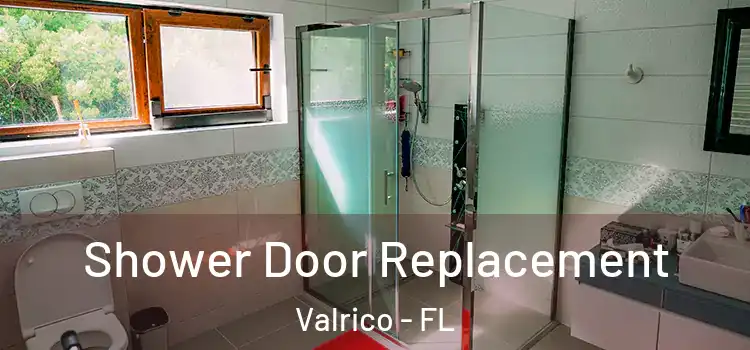 Shower Door Replacement Valrico - FL